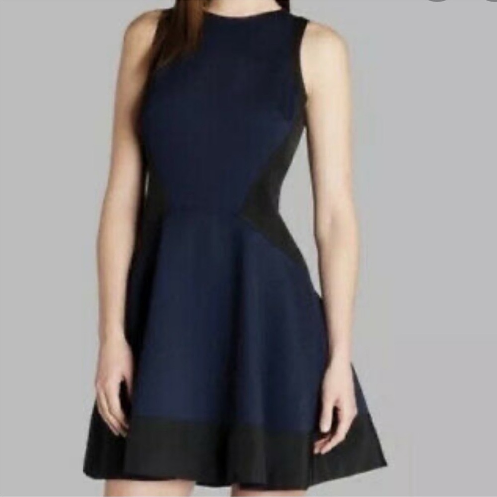 Ted Baker Black Fit and Flare Dress